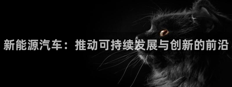 新宝gg创造奇迹：新能源汽车：推动可持续