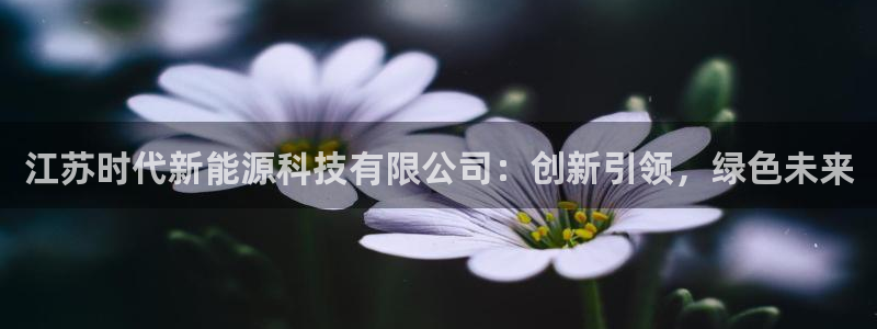新宝gg客户端下载：江苏时代新能源科技有