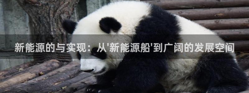 新宝gg平台登录 新宝GG:新能源的与实现:从\
