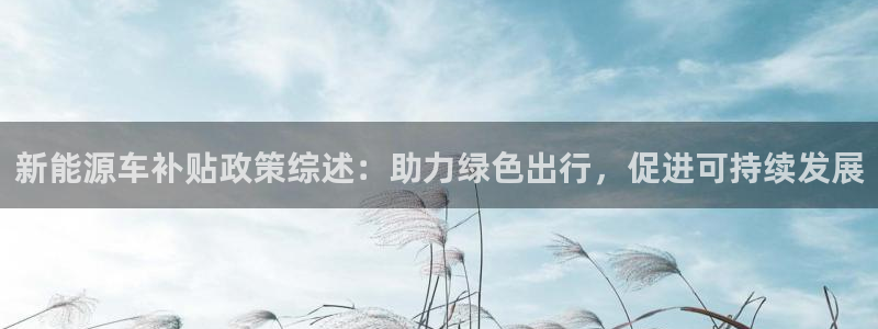 新宝gg登陆平台：新能源车补贴政策综述：