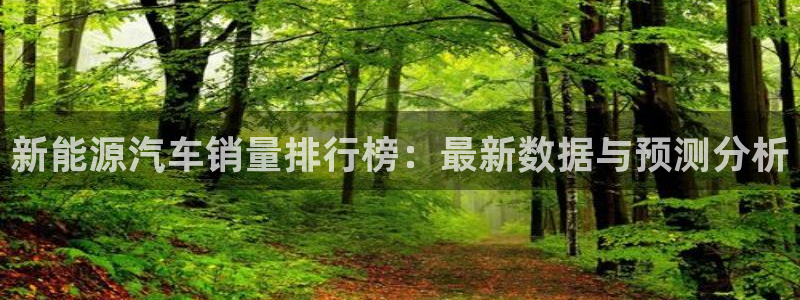 新宝gg登录:新能源汽车销量排行榜:最新数据与预测分析