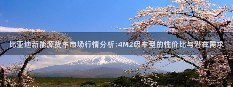 新宝gg地址新宝二：比亚迪新能源货车市场