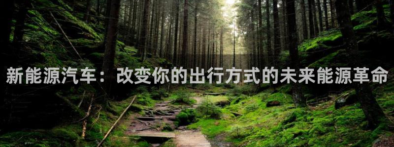 网站是新宝gg：新能源汽车：改变你的出行