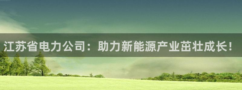 新宝gg会员:江苏省电力公司:助力新能源产业茁壮成长!