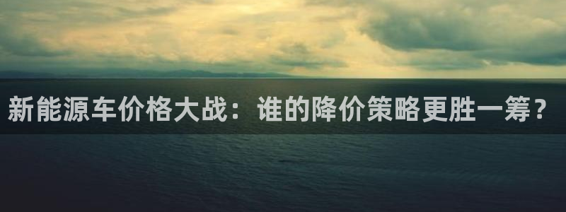 新浪新闻新宝gg:新能源车价格大战:谁的降价策略更胜一筹?