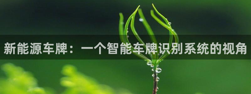 新宝gg主管48527:新能源车牌:一个智能车牌识别系统的视