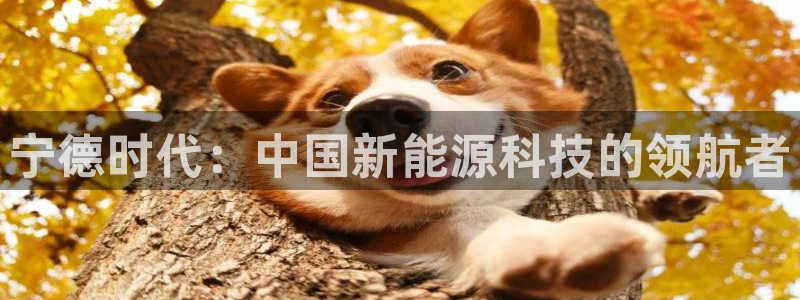 新宝gg欢迎