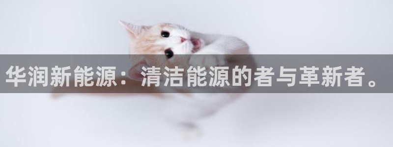 新宝gg登录新：华润新能源：清洁能源的者