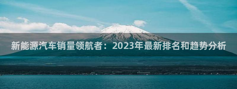 新宝gg首页：新能源汽车销量领航者：20