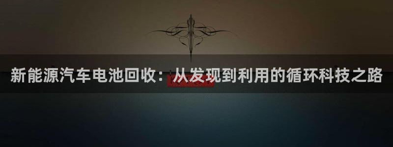 新宝GG挂机