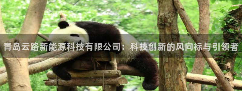 新宝GG询问29999:青岛云路新能源科技有限公司:科技创新
