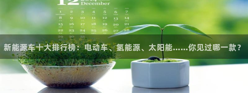 新宝gg可乐88383：新能源车十大排行