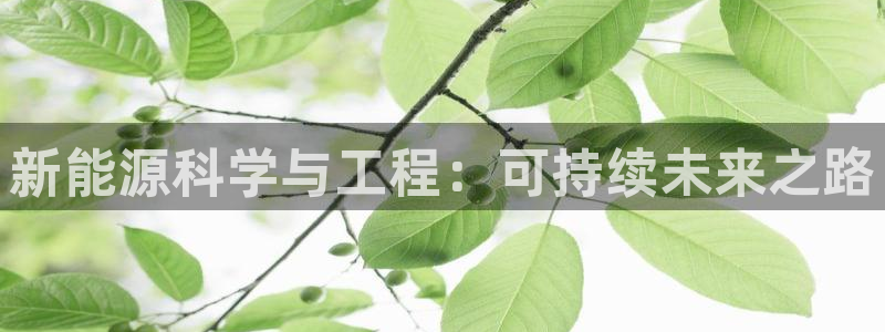 gg新宝时时彩:新能源科学与工程:可持续未来之路