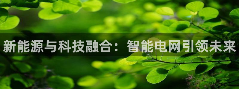 新宝GG之家：新能源与科技融合：智能电网