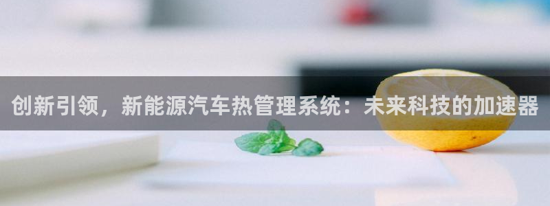 新宝gg 彩票：创新引领，新能源汽车热管
