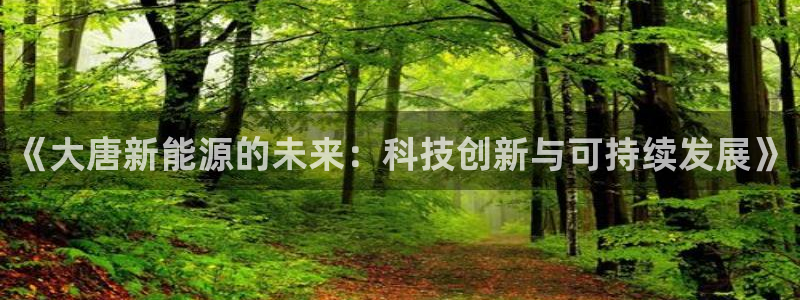 新宝GG用哪个网址登录:《大唐新能源的未来:科技创新与可持续