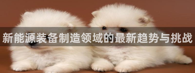 新宝GG娱乐下载:新能源装备制造领域的最新趋势与挑战