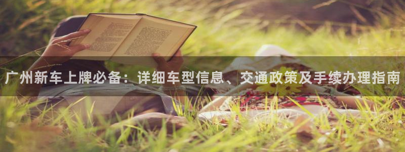 新宝gg客服：广州新车上牌必备：详细车型