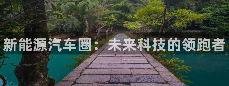新宝.gg：新能源汽车圈：未来科技的领跑