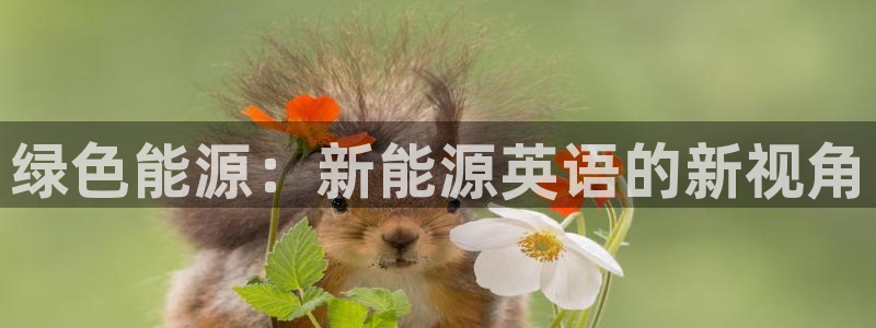 新宝gg注册新宝GG注册登录:绿色能源:新能源英语的新视角