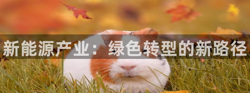 新宝gg ios下载:新能源产业:绿色转型的新路径