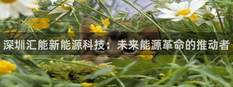 新宝GG创业奇迹