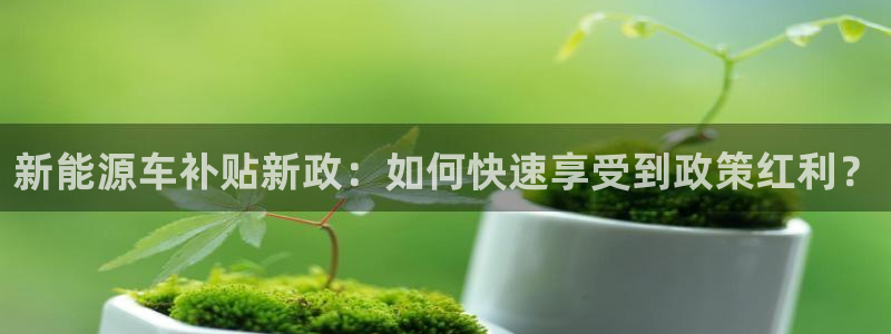 新宝gg手机登录