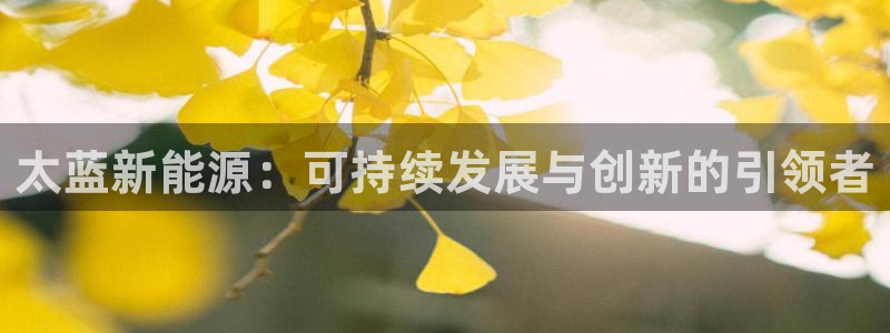 xbgg新宝gg:太蓝新能源:可持续发展与创新的引领者