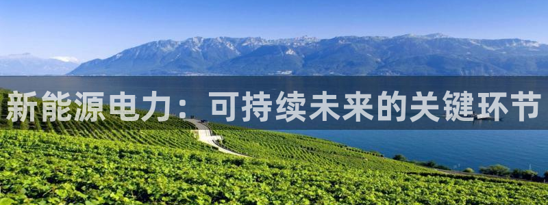 新宝gg登录：新能源电力：可持续未来的关