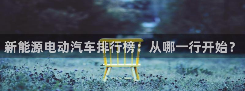 注册新宝gg：新能源电动汽车排行榜：从哪