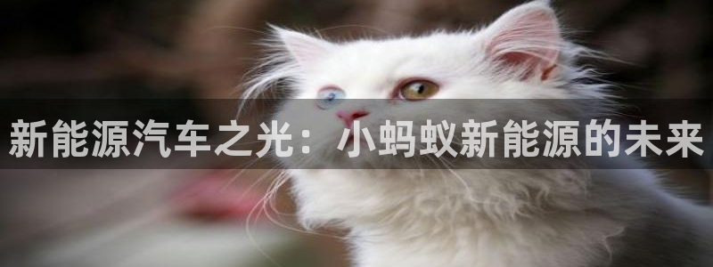 新宝gg平台登录：新能源汽车之光：小蚂蚁