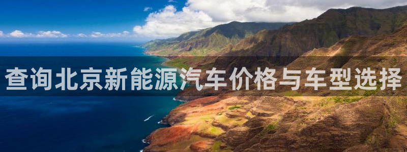 新宝gg成立：查询北京新能源汽车价格与车
