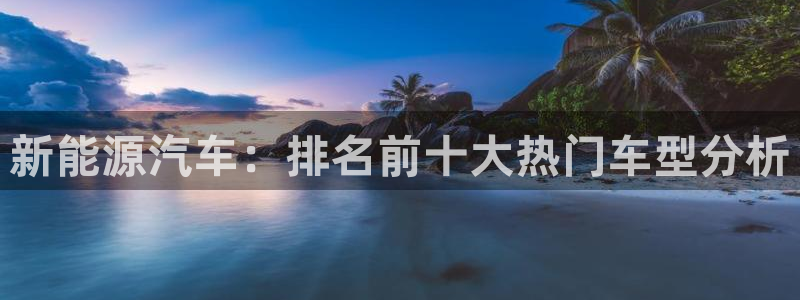 新宝gg手机登录：新能源汽车：排名前十大